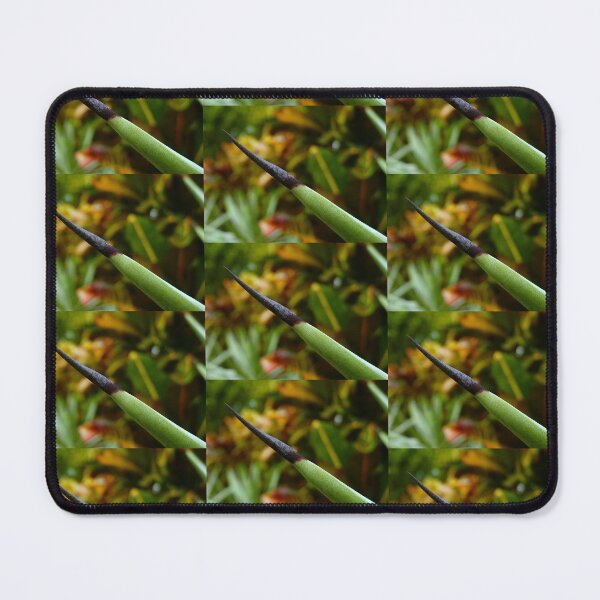 Item preview, Thorn designed and sold by Linda Bianic.