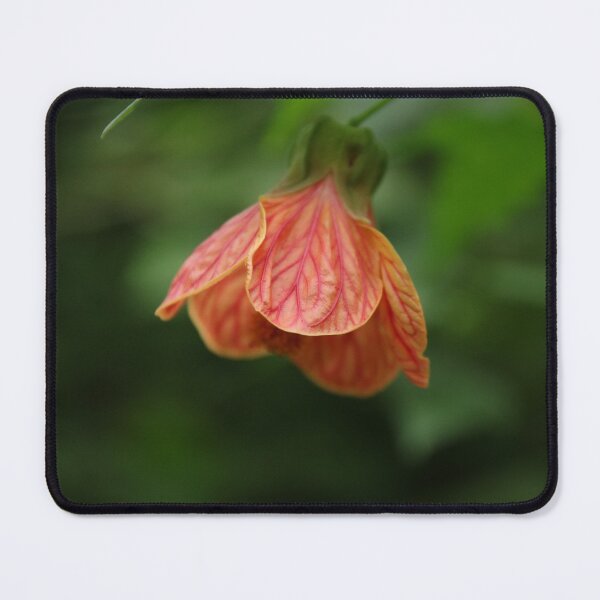 Item preview, Red Orange Bell Flower designed and sold by Honey Myrtle Studio.