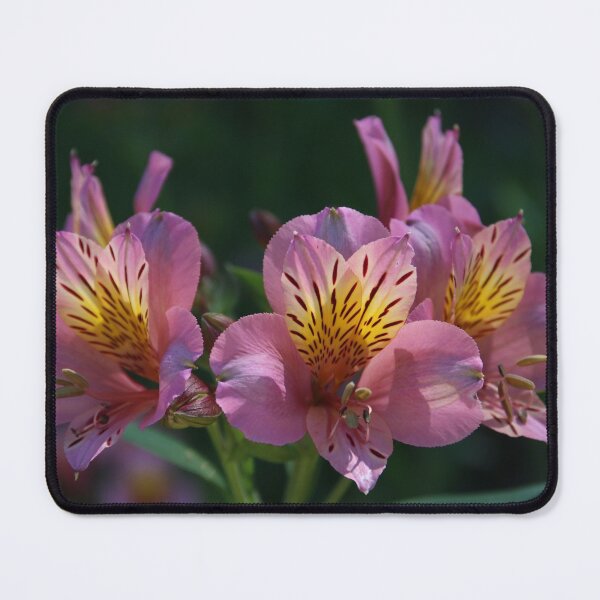 Item preview, Afternoon Floral Delight designed and sold by Honey Myrtle Studio.