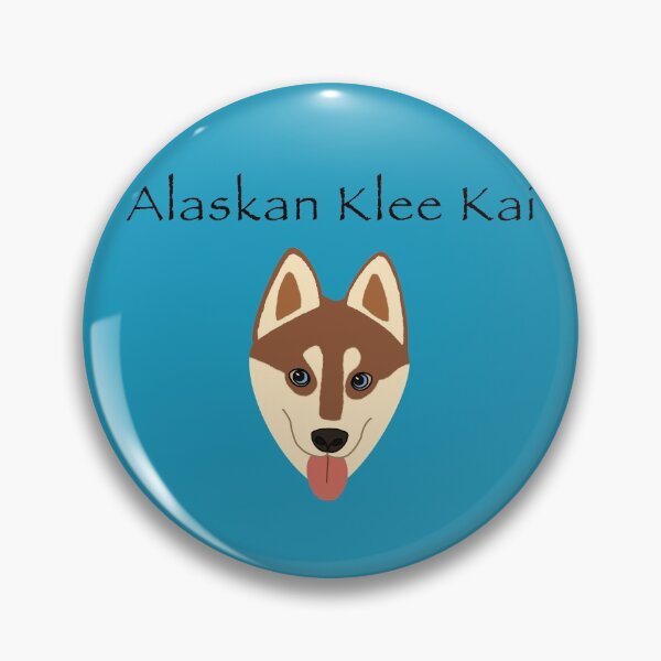 Item preview, Alaskan Klee Kai (red with blue eyes) designed and sold by Tiki-Kreations.