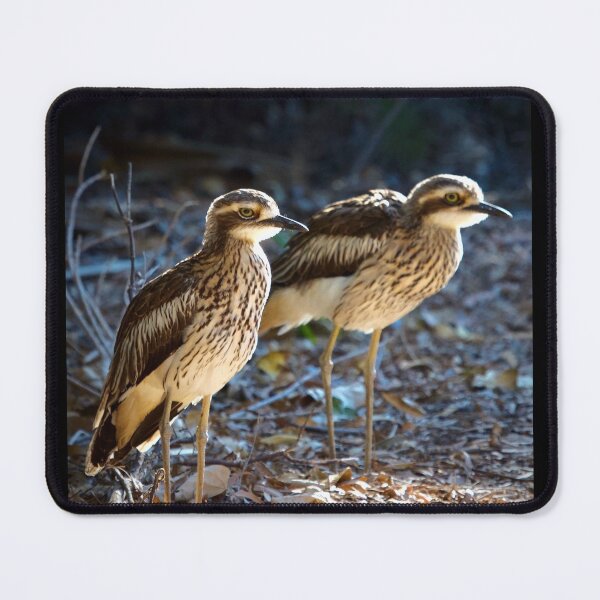Item preview, Bush Stone Curlews designed and sold by MargsNaturePix.