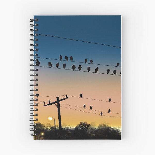 Item preview, Birds at sunrise, Roseville, Sydney, NSW, Australia, April 2021, designed and sold by SteveDenham.