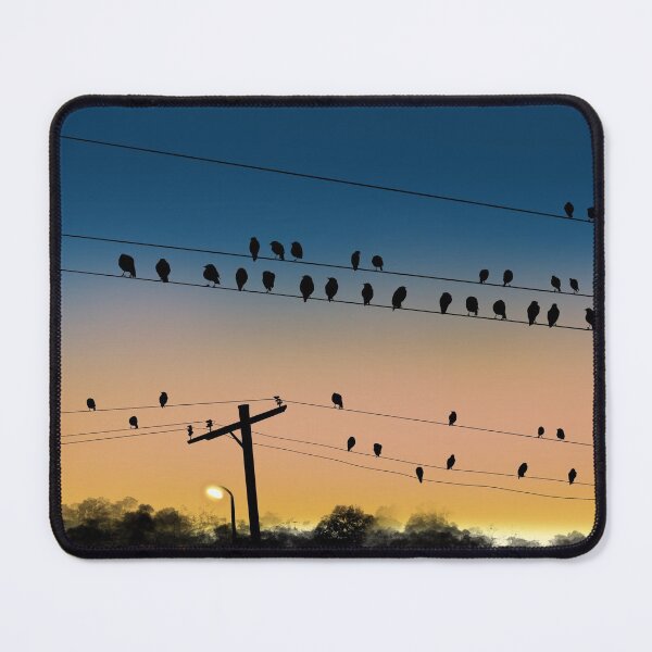 Item preview, Birds at sunrise, Roseville, Sydney, NSW, Australia, April 2021, designed and sold by SteveDenham.