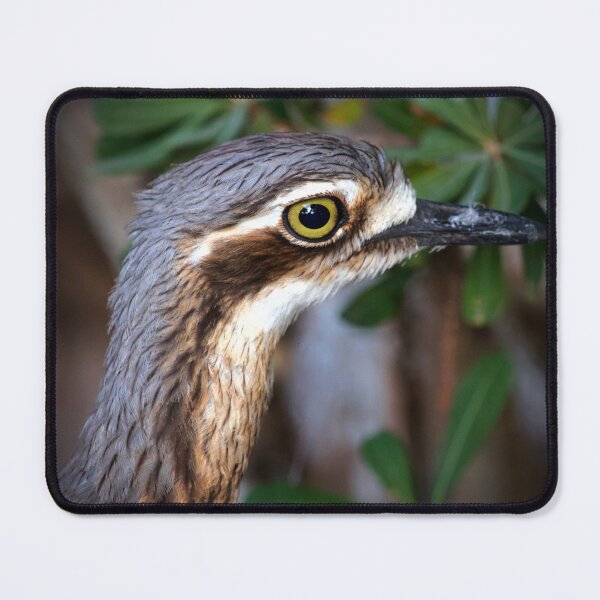 Item preview, Curlew close up  designed and sold by MargsNaturePix.