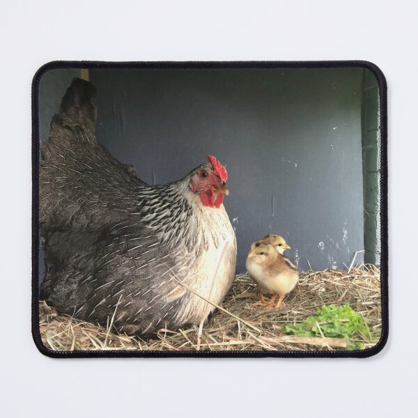 Item preview, New Life designed and sold by Clare Colins.
