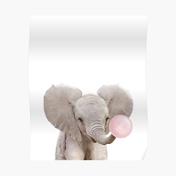 Baby Elephant Blowing Pink Bubble Gum, Baby Girl, Kids, Nursery, Baby Animals Art Print by Synplus Poster