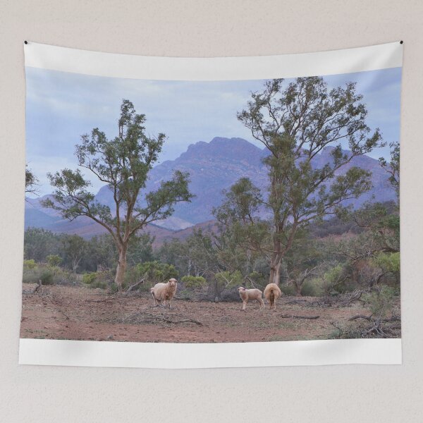 Item preview, Sheep, Moralana Scenic Drive, Flinders Ranges designed and sold by FranWest.