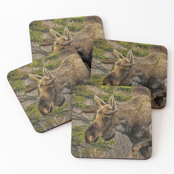 Item preview, Moose in Denali National Park Alaska designed and sold by Alaskandreamer.