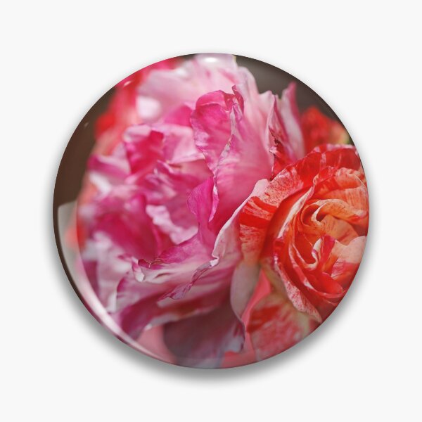 Item preview, Variegated Roses In Love designed and sold by Joy Watson - Natural Light Photography .