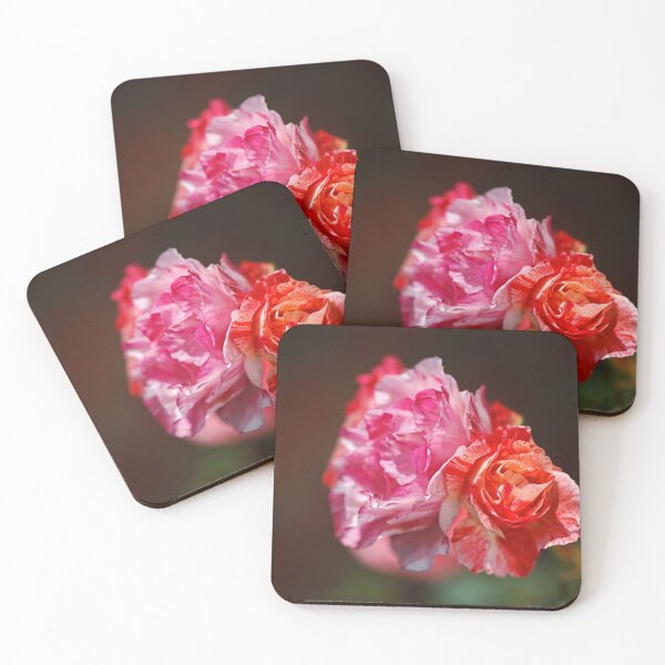 Item preview, Variegated Roses In Love designed and sold by Joy Watson - Natural Light Photography .