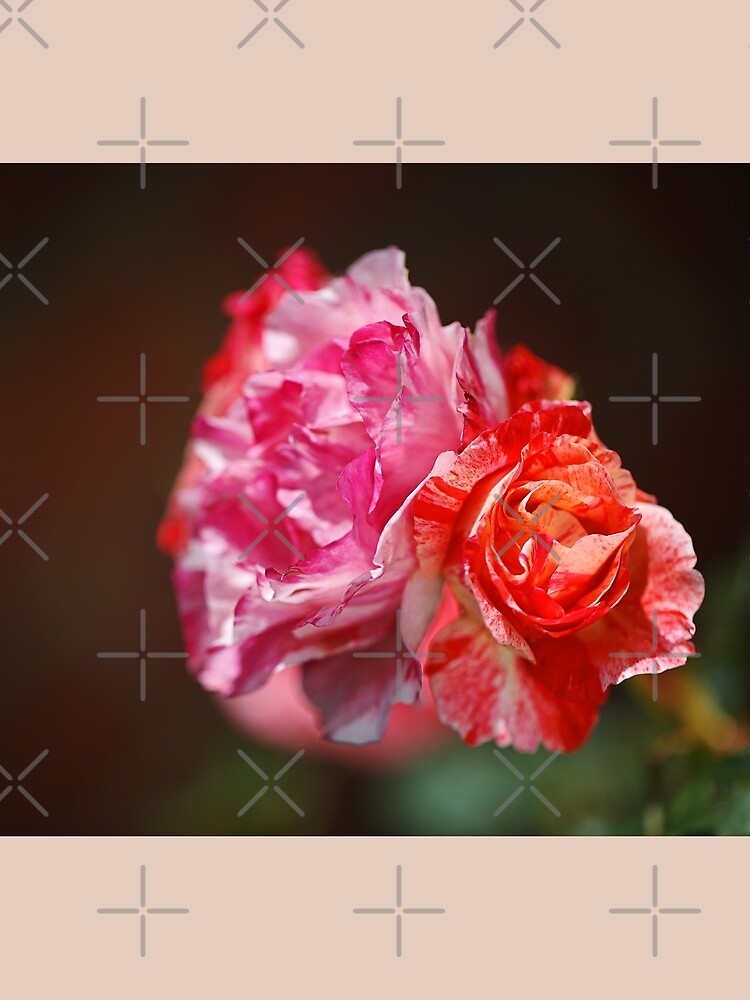 Thumbnail 3 of 3, Scarf, Variegated Roses In Love designed and sold by bubbleblue.