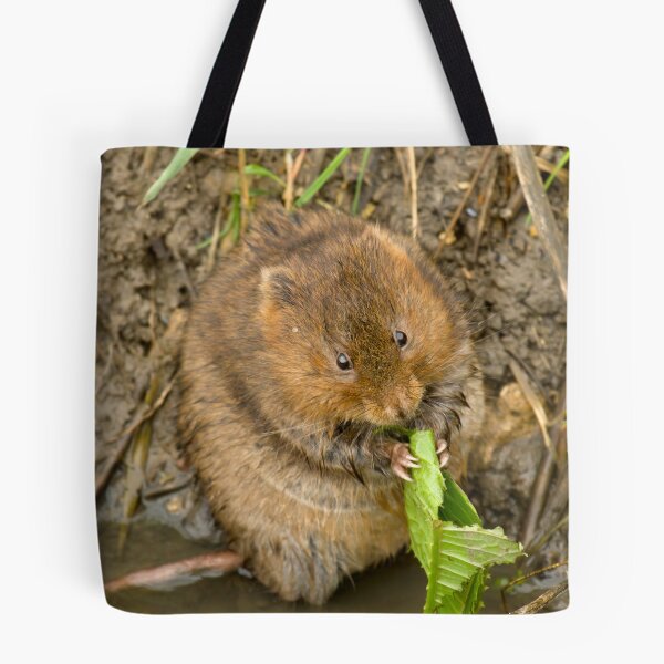 Item preview, Nom Nom Nom Nom designed and sold by CBoyle.