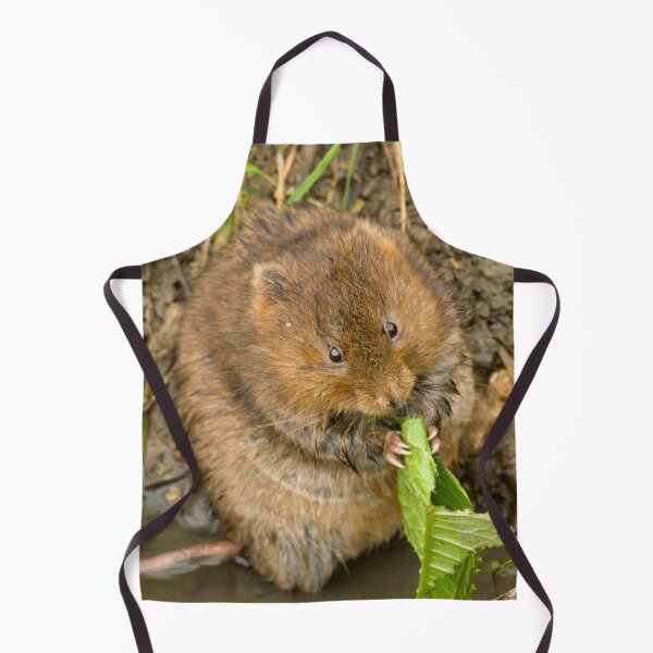 Item preview, Nom Nom Nom Nom designed and sold by CBoyle.