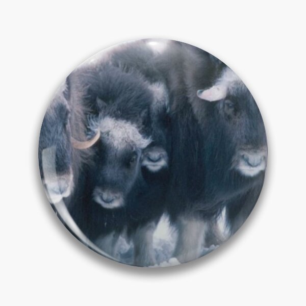 Item preview, Muskox Art designed and sold by Alicefish.