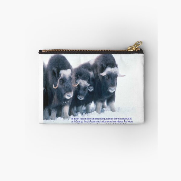 Item preview, Muskox Art designed and sold by Alicefish.