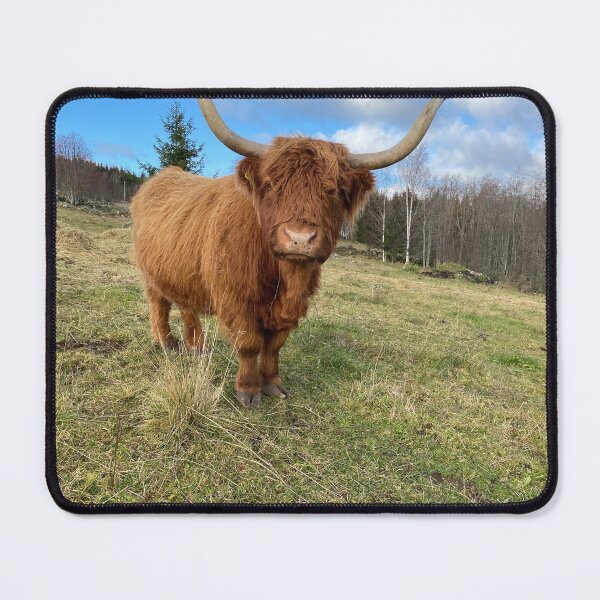 Item preview, Scottish Highland Cattle Cow 3032 designed and sold by SaarelaHighland.
