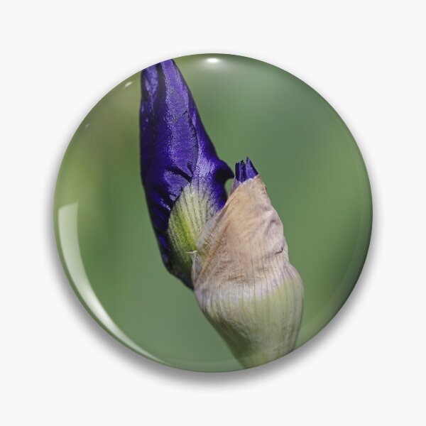 Item preview, Blue Iris Buds Have Friends  designed and sold by Joy Watson - Natural Light Photography .
