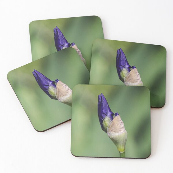 Item preview, Blue Iris Buds Have Friends  designed and sold by Joy Watson - Natural Light Photography .