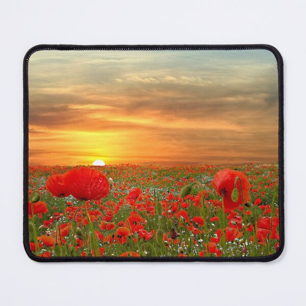 Item preview, Sunset Poppy Field designed and sold by Alisonchambers2.