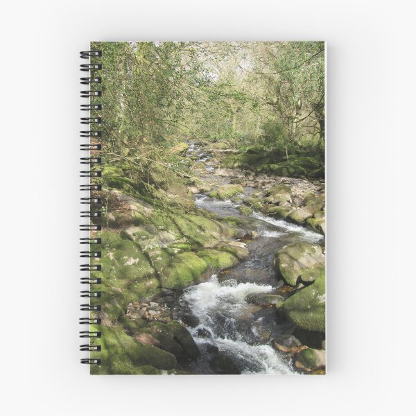 Item preview, River Avon Above South Brent.....Devon, England designed and sold by lezvee.