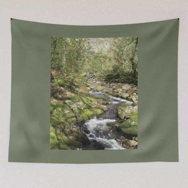 Item preview, River Avon Above South Brent.....Devon, England designed and sold by lezvee.