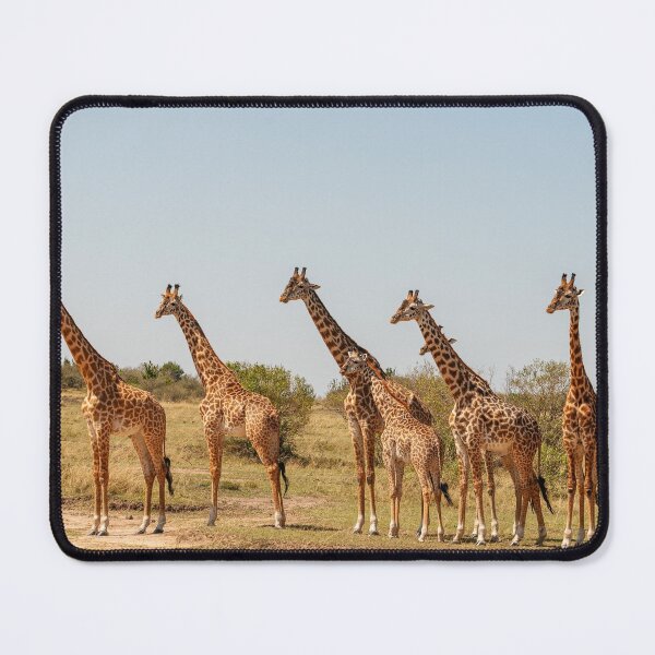 Item preview, Giraffe group designed and sold by Ingo Gerlach.