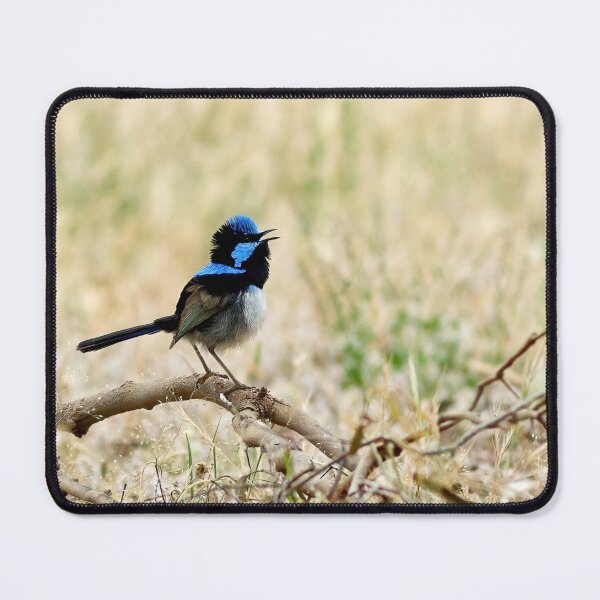 Item preview, Superb Blue Fairywren designed and sold by Stephen Ruane.