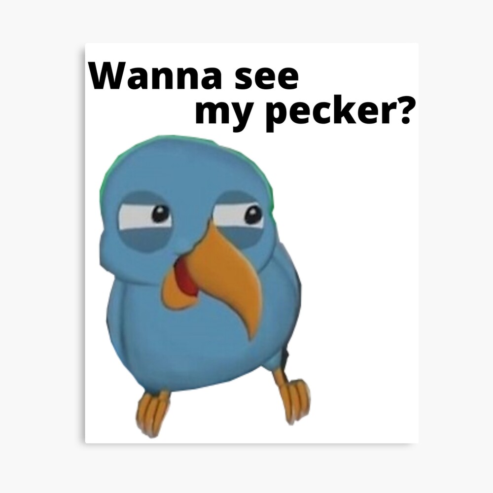 Wanna See My Pecker Bird Memes