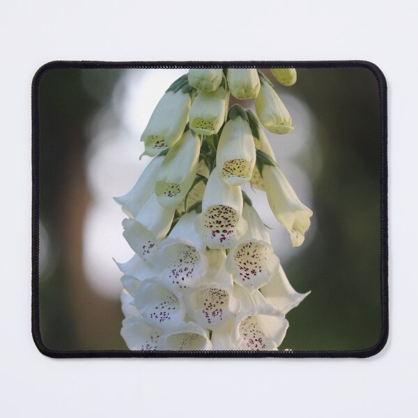 Item preview, Digital Beauty designed and sold by cuprum.