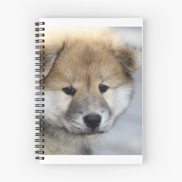Item preview, Cute dog, animal, nature designed and sold by zero-g.