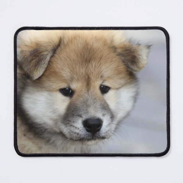 Item preview, Cute dog, animal, nature designed and sold by zero-g.