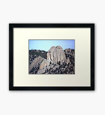 TWIN OWLS AT ESTES PARK, COLORADO Framed Print