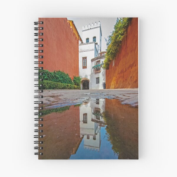 Item preview, Reflection Charco Judería Sevilla designed and sold by Sevillanism.