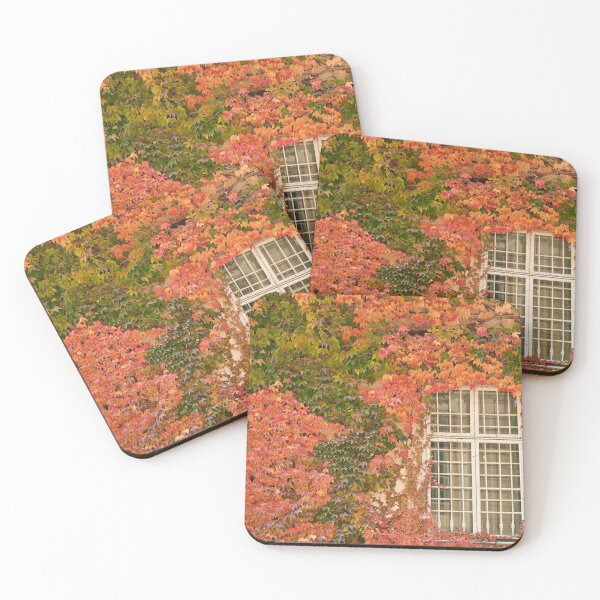 Item preview, wall with window and colorful creeper leafs in Vienna autumn season designed and sold by goceris.