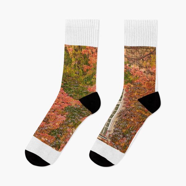Item preview, wall with window and colorful creeper leafs in Vienna autumn season designed and sold by goceris.
