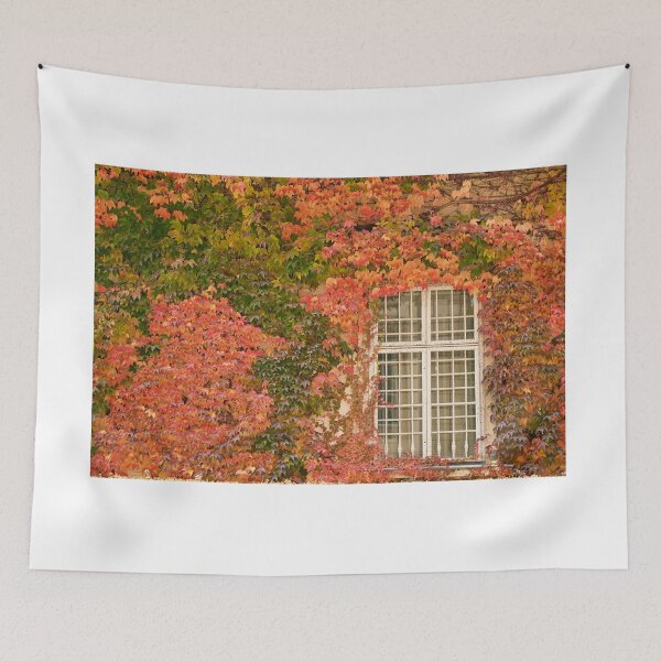 Item preview, wall with window and colorful creeper leafs in Vienna autumn season designed and sold by goceris.