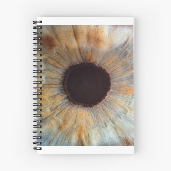 Item preview, Eye, body designed and sold by zero-g.
