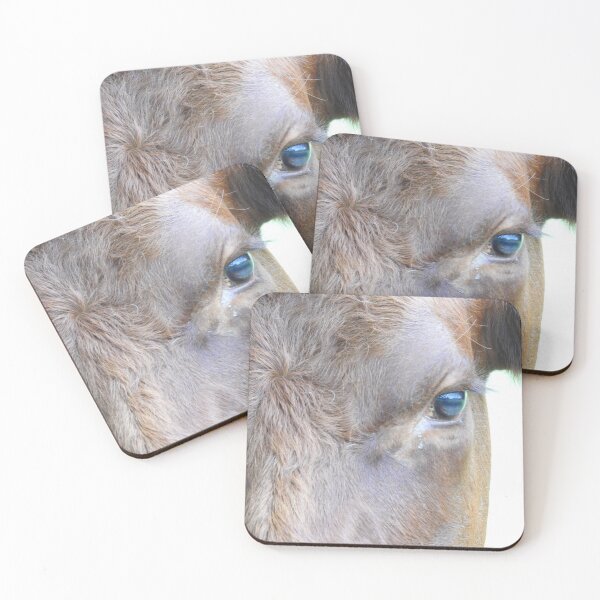 Item preview, eyeballing the cow designed and sold by Fiona Welsh.