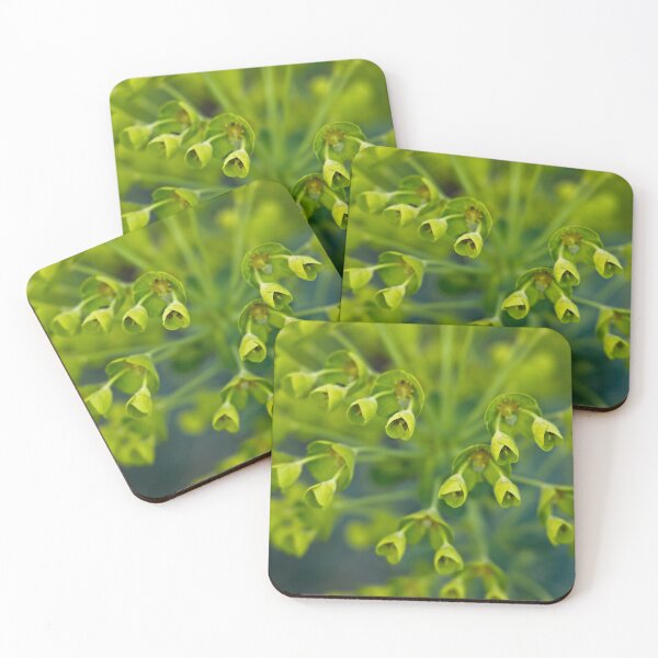 Item preview, The Optimism of Renewal designed and sold by Linda Lees.
