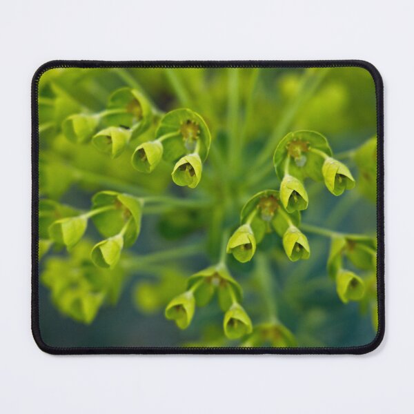 Item preview, The Optimism of Renewal designed and sold by Linda Lees.