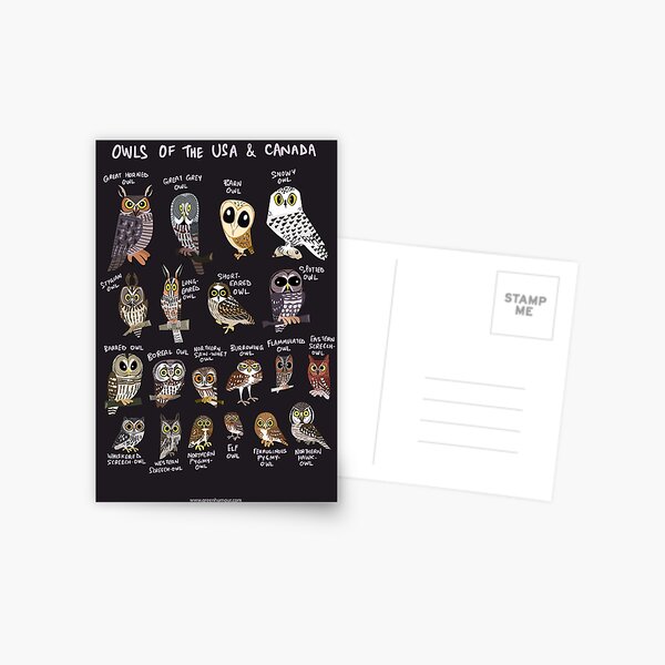 Item preview, Owls of USA and Canada designed and sold by Green Humour.