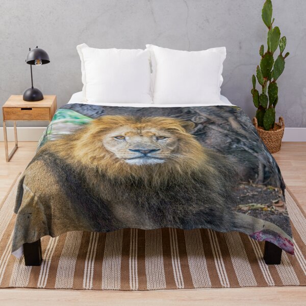 Item preview, León macho designed and sold by Photopat.