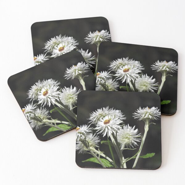 Item preview, white paper daisies designed and sold by Fiona Welsh.