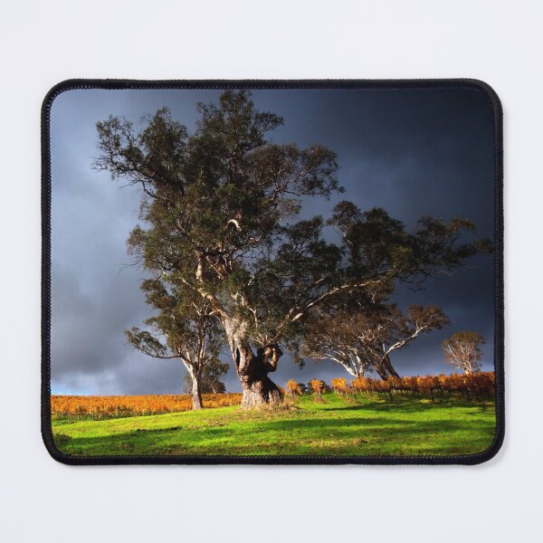 Item preview, Nature, trees designed and sold by zero-g.