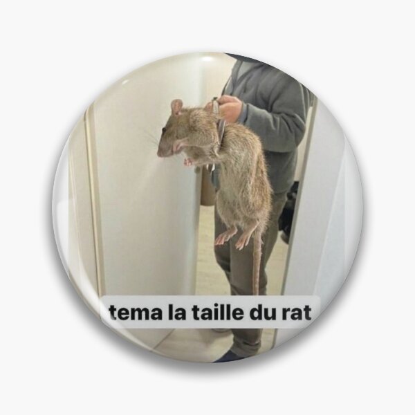 Item preview, Tema the size of the rat I Meme Fr designed and sold by Axecles.