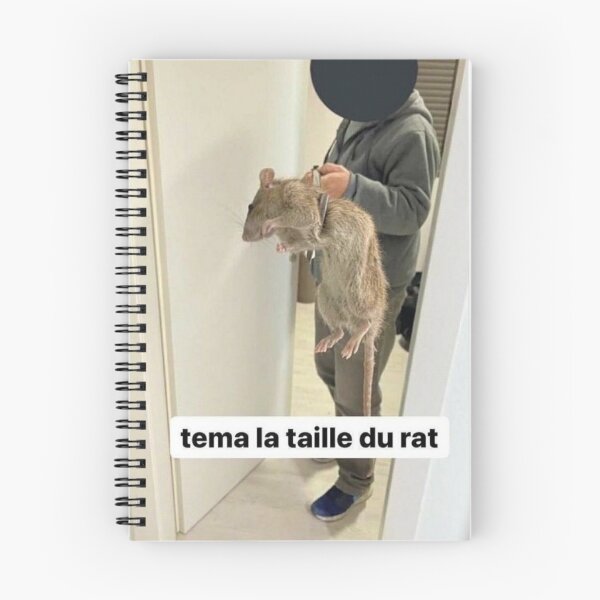 Item preview, Tema el tamaño de la rata I Meme Fr designed and sold by Axecles.