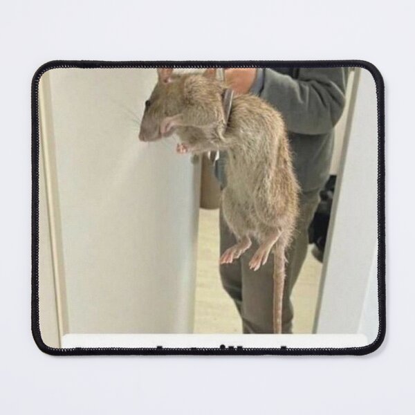 Item preview, Tema the size of the rat I Meme Fr designed and sold by Axecles.