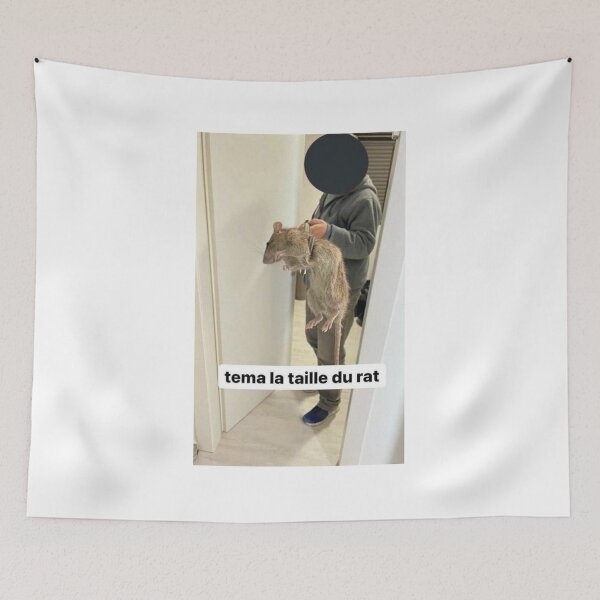 Item preview, Tema the size of the rat I Meme Fr designed and sold by Axecles.