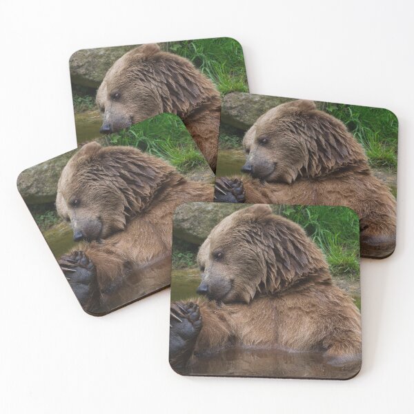 Item preview, Bear, animal, nature designed and sold by zero-g.