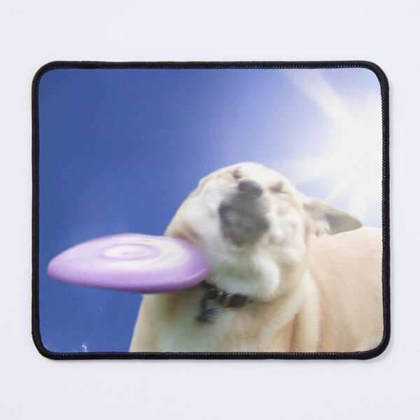 Item preview, Frisbee Dog, Doggo #4 designed and sold by Elisecv.